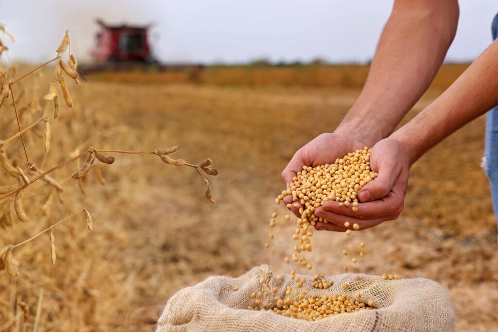 organic-soybean-meal